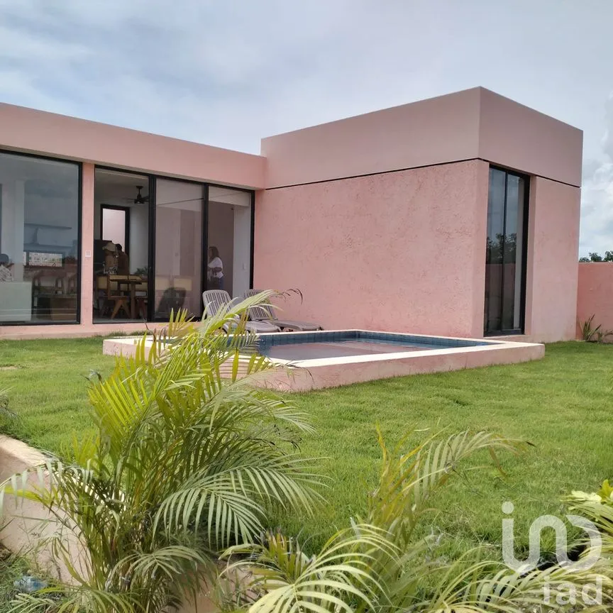 Casa en Venta en San Crisanto, Sinanché, Yucatán | NEX-71188 | iad México | Foto 11 de 13
