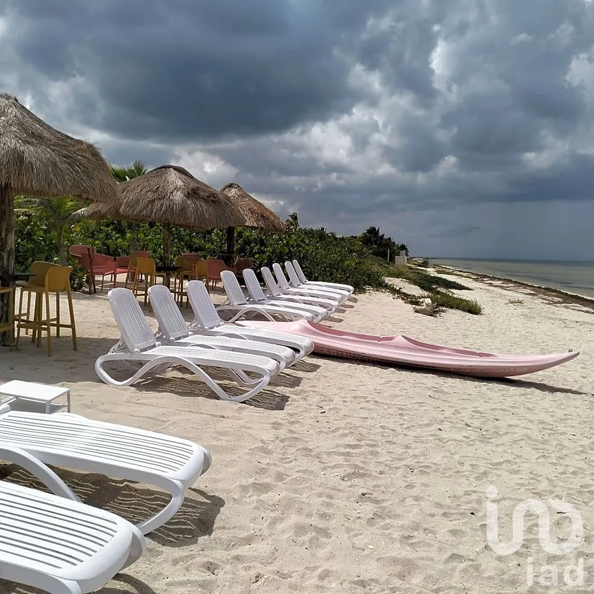 Casa en Venta en San Crisanto, Sinanché, Yucatán | NEX-71188 | iad México | Foto 12 de 13