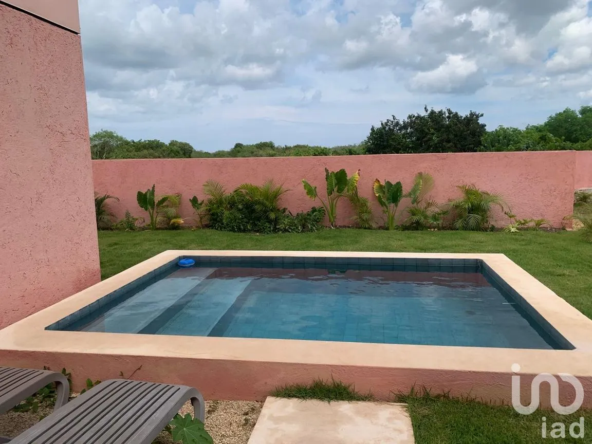 Casa en Venta en San Crisanto, Sinanché, Yucatán | NEX-71188 | iad México | Foto 4 de 13