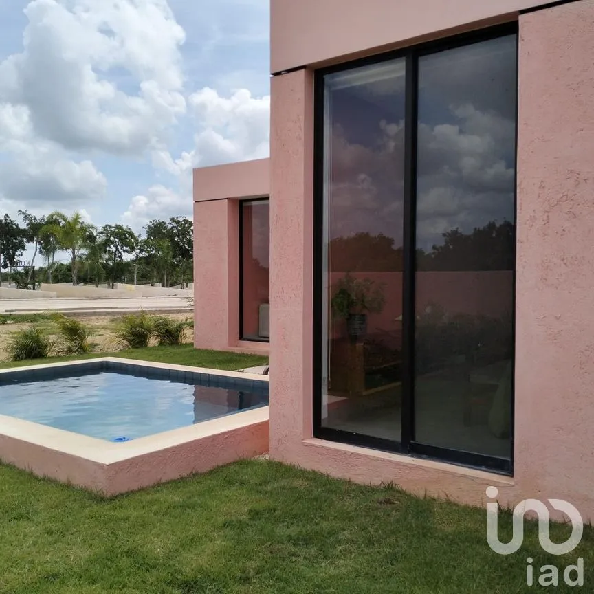 Casa en Venta en San Crisanto, Sinanché, Yucatán | NEX-71188 | iad México | Foto 10 de 13