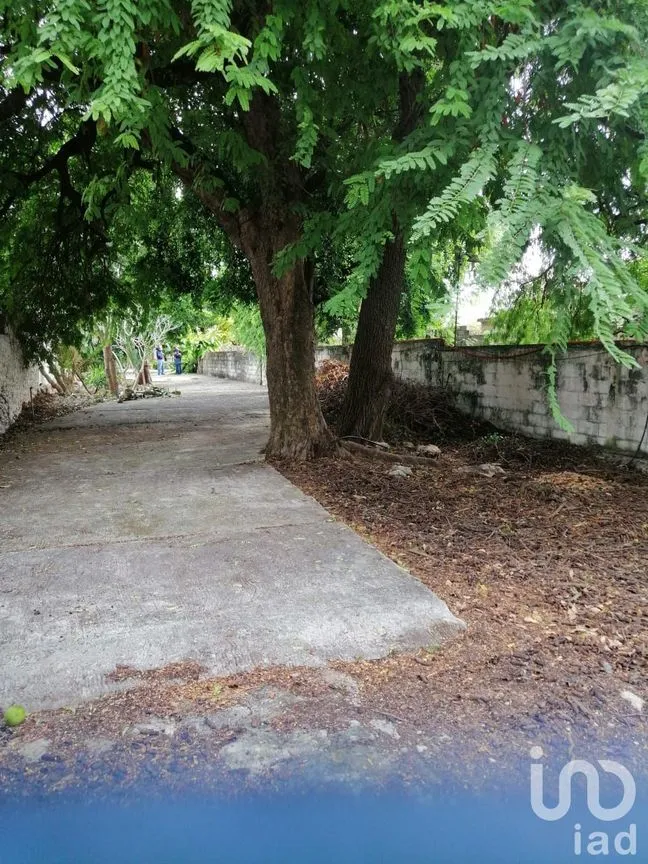 Terreno en Venta en Mérida Centro, Mérida, Yucatán | NEX-76371 | iad México | Foto 2 de 10