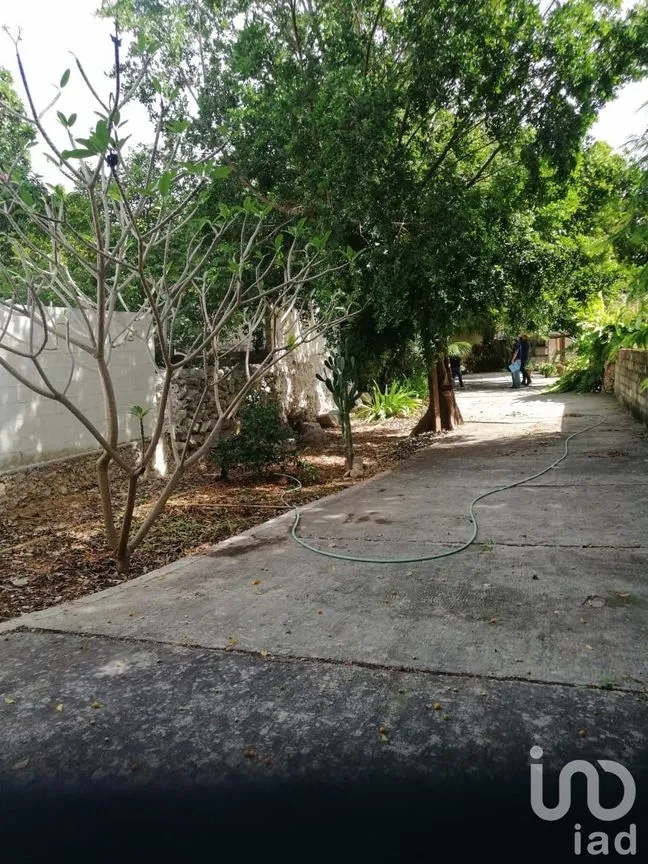 Terreno en Venta en Mérida Centro, Mérida, Yucatán | NEX-76371 | iad México | Foto 3 de 10