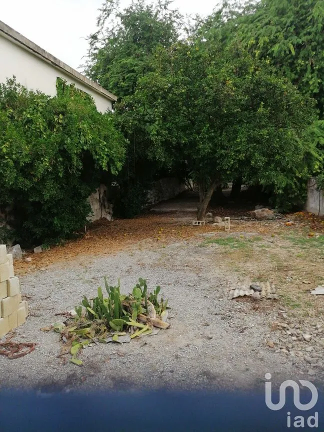 Terreno en Venta en Mérida Centro, Mérida, Yucatán | NEX-76371 | iad México | Foto 4 de 10