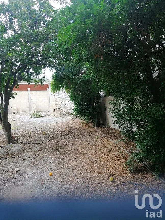 Terreno en Venta en Mérida Centro, Mérida, Yucatán | NEX-76371 | iad México | Foto 5 de 10