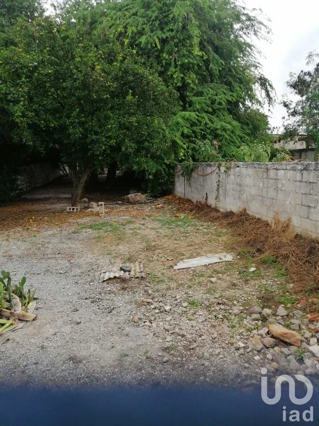Terreno en Venta en Mérida Centro, Mérida, Yucatán | NEX-76371 | iad México | Foto 7 de 10