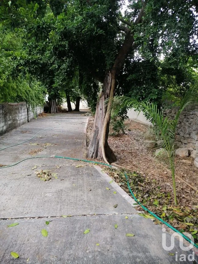 Terreno en Venta en Mérida Centro, Mérida, Yucatán | NEX-76371 | iad México | Foto 8 de 10