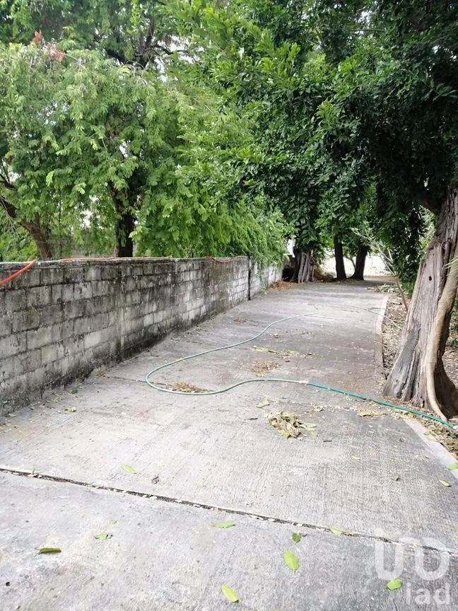 Terreno en Venta en Mérida Centro, Mérida, Yucatán | NEX-76371 | iad México | Foto 9 de 10