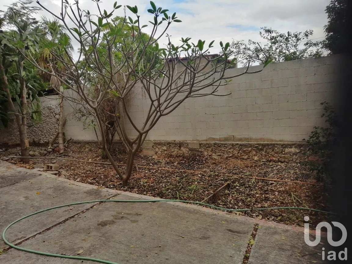 Terreno en Venta en Mérida Centro, Mérida, Yucatán | NEX-76371 | iad México | Foto 10 de 10