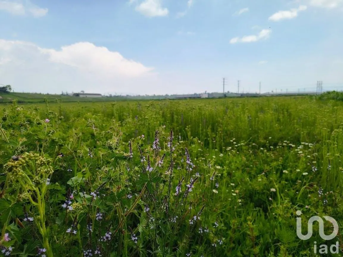 Terreno en Venta en San José Comalco, Temoaya, México | NEX-179146 | iad México | Foto 13 de 18