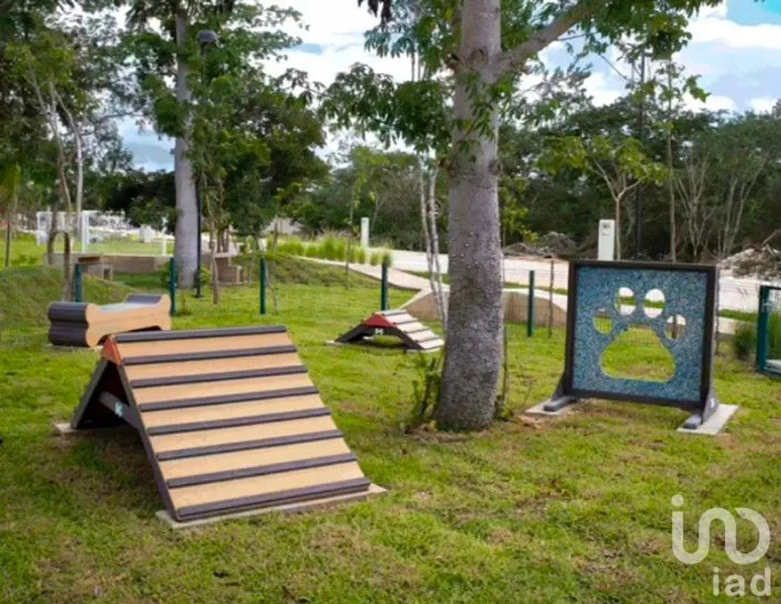 Terreno en Venta en Dzibilchaltún, Mérida, Yucatán | NEX-113708 | iad México | Foto 12 de 12