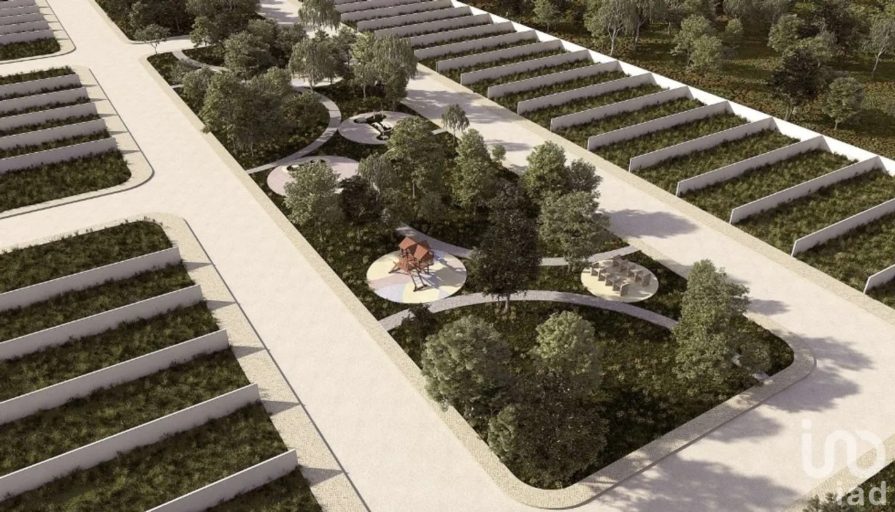 Terreno en Venta en Dzidzantún, Dzidzantún, Yucatán | NEX-161553 | iad México | Foto 6 de 12