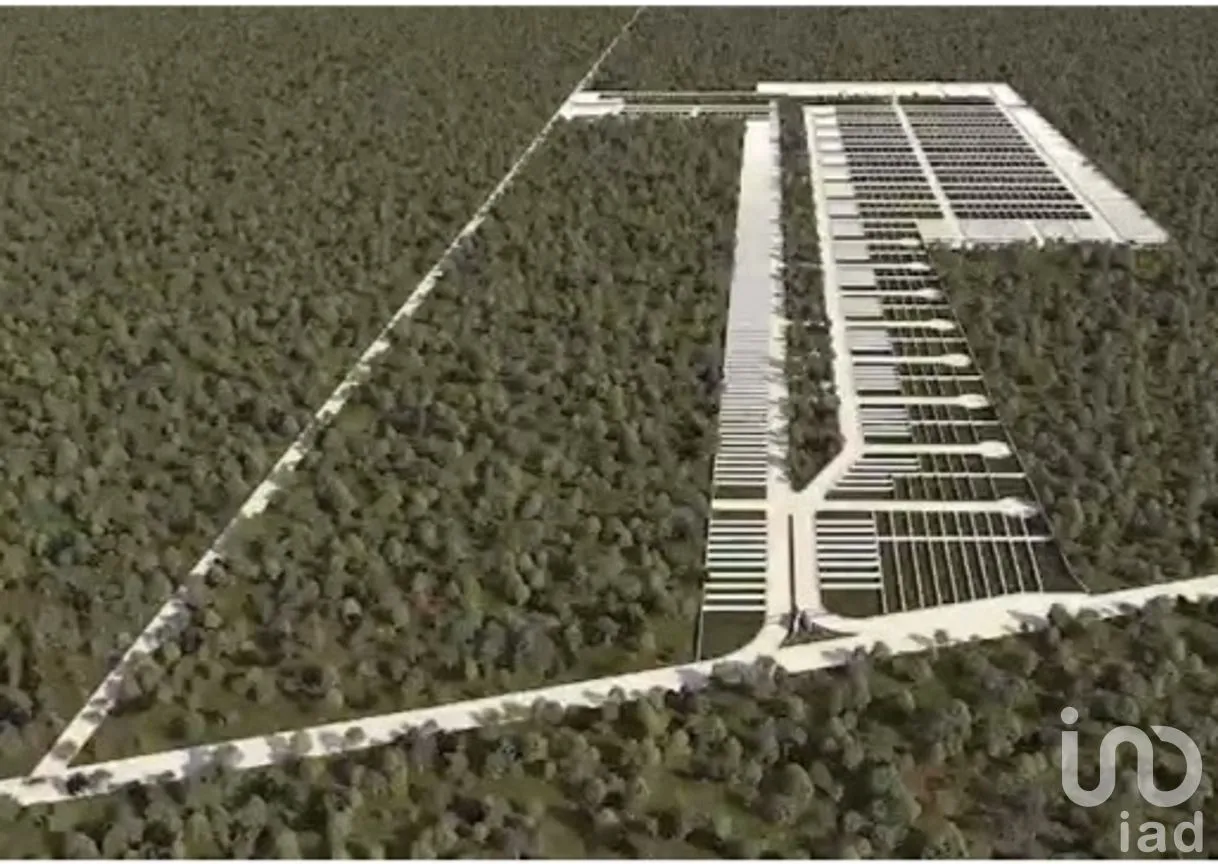 Terreno en Venta en Dzidzantún, Dzidzantún, Yucatán | NEX-161553 | iad México | Foto 2 de 12