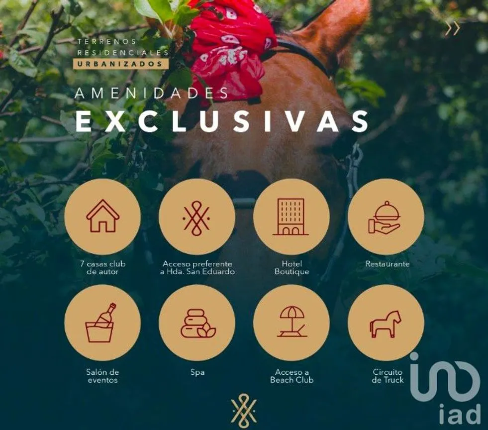 Terreno en Venta en Centro Telchac Pueblo, Telchac Pueblo, Yucatán | NEX-221996 | iad México | Foto 11 de 12