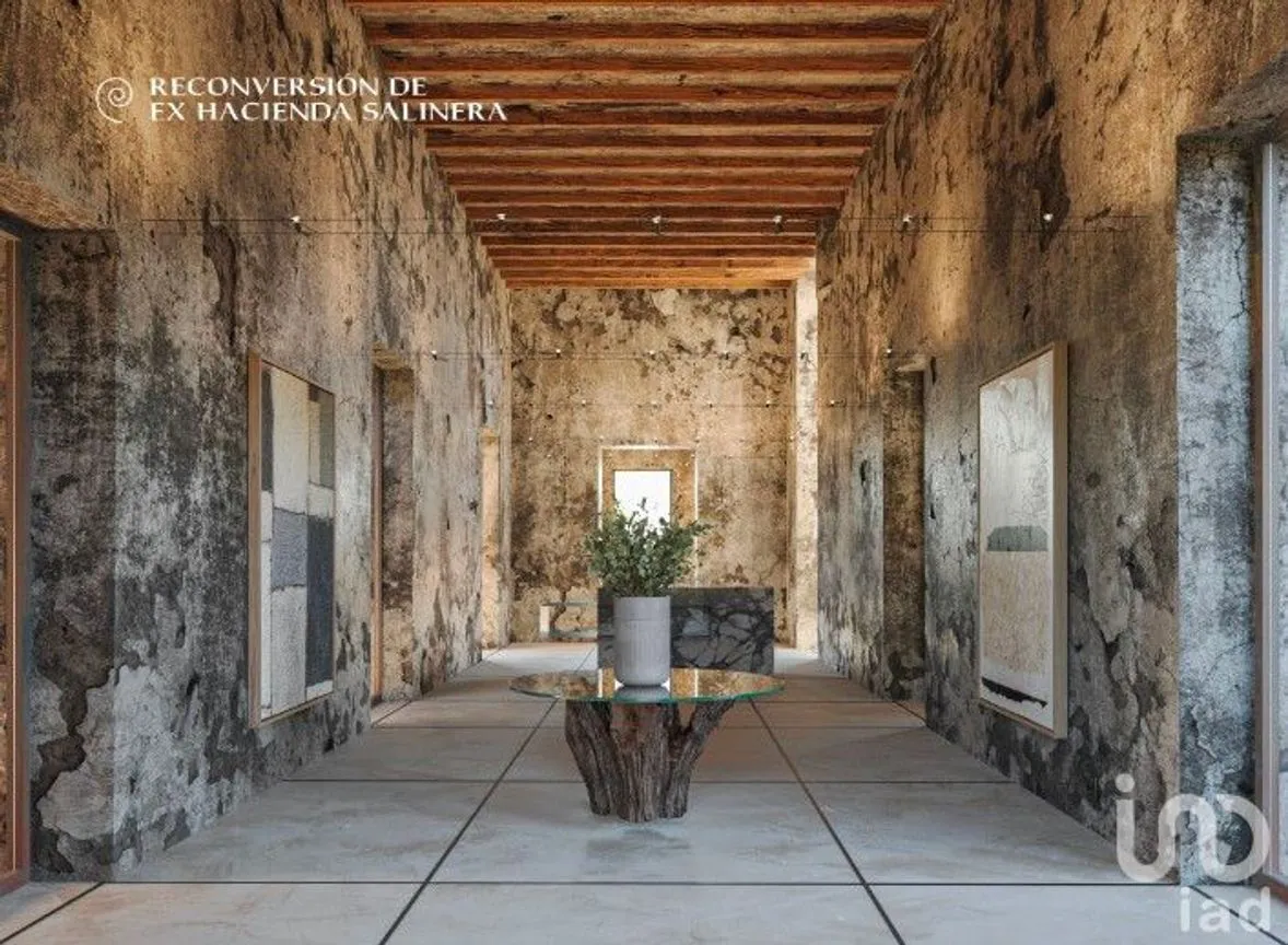 Terreno en Venta en Santa Clara, Dzidzantún, Yucatán | NEX-222096 | iad México | Foto 5 de 11