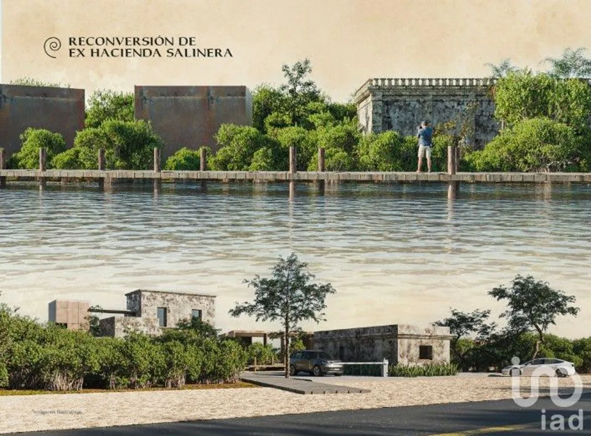 Terreno en Venta en Santa Clara, Dzidzantún, Yucatán | NEX-222096 | iad México | Foto 6 de 11
