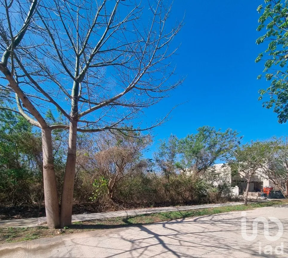 Terreno en Venta en Cabo Norte, Mérida, Yucatán | NEX-287154 | iad México | Foto 9 de 13