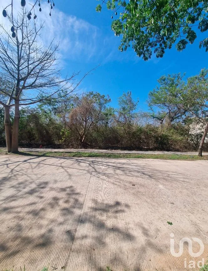 Terreno en Venta en Cabo Norte, Mérida, Yucatán | NEX-287154 | iad México | Foto 10 de 13