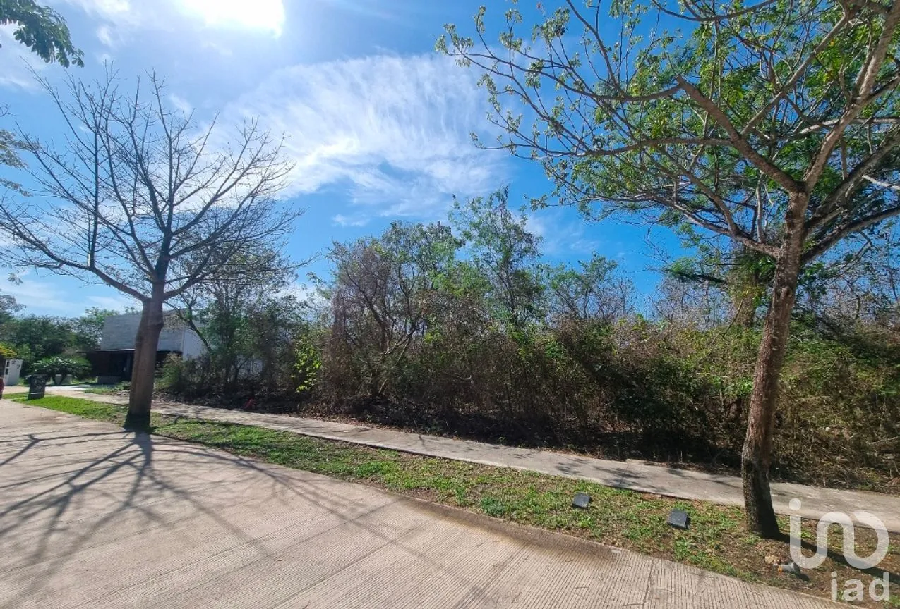 Terreno en Venta en Cabo Norte, Mérida, Yucatán | NEX-287154 | iad México | Foto 1 de 13