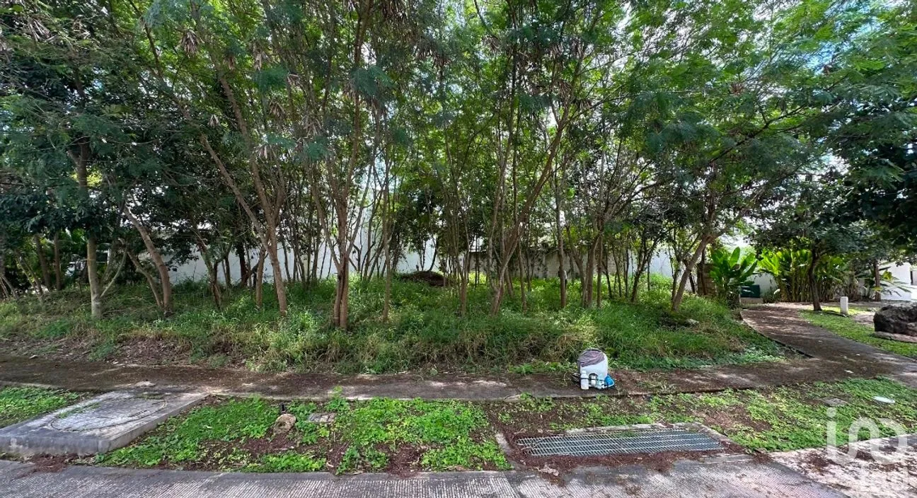 Terreno en Venta en Cholul, Mérida, Yucatán | NEX-289476 | iad México | Foto 7 de 17