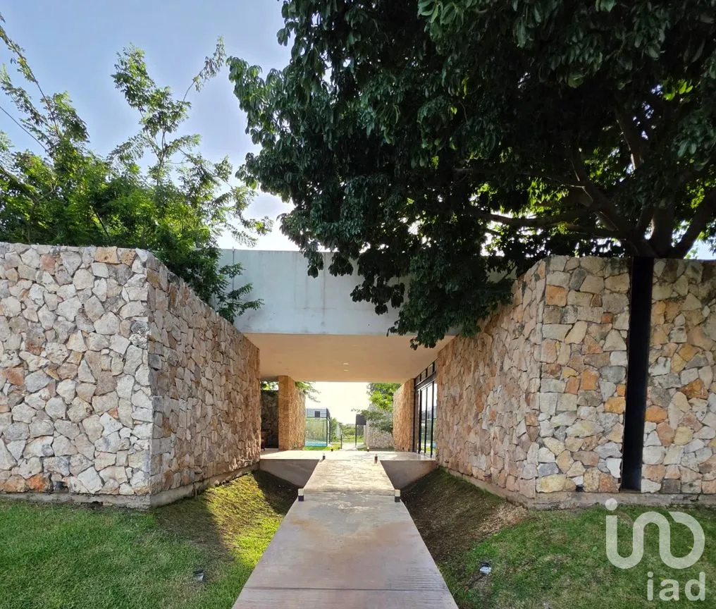Terreno en Venta en Cholul, Mérida, Yucatán | NEX-305431 | iad México | Foto 8 de 20