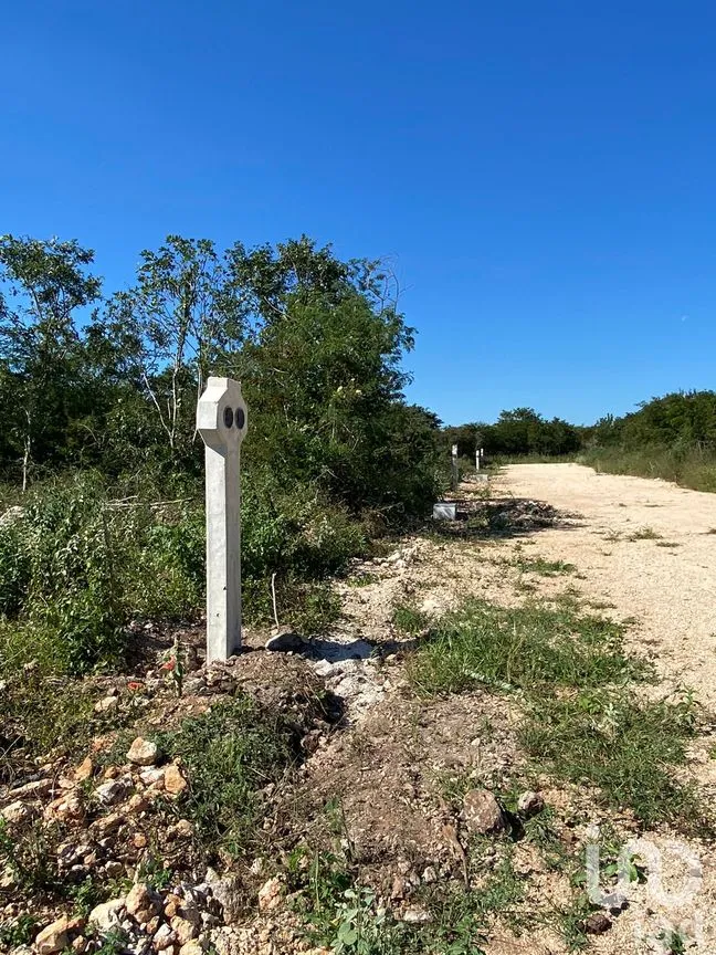 Terreno en Venta en Sitpach, Mérida, Yucatán | NEX-78152 | iad México | Foto 4 de 11
