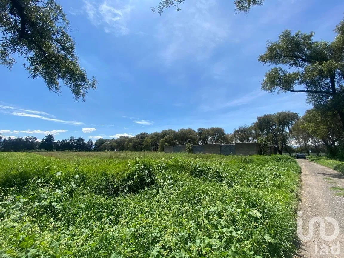 Terreno en Venta en Llano Grande, Metepec, Estado De México | NEX-228452 | iad México | Foto 3 de 9