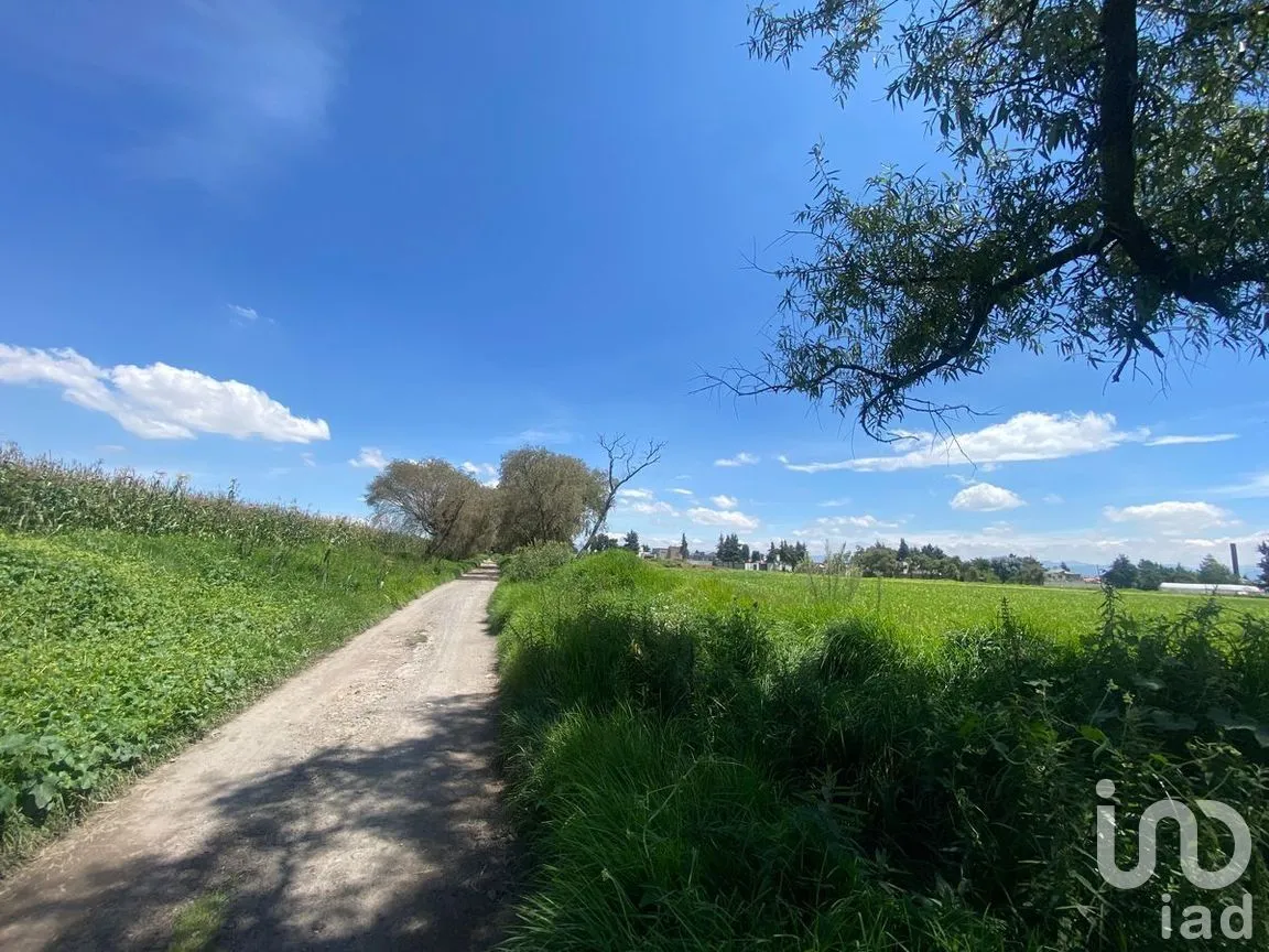 Terreno en Venta en Llano Grande, Metepec, Estado De México | NEX-228452 | iad México | Foto 7 de 9