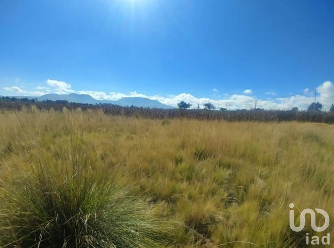 Terreno en Venta en Arboledas (San Andrés), Calimaya, Estado De México | NEX-228512 | iad México | Foto 10 de 11