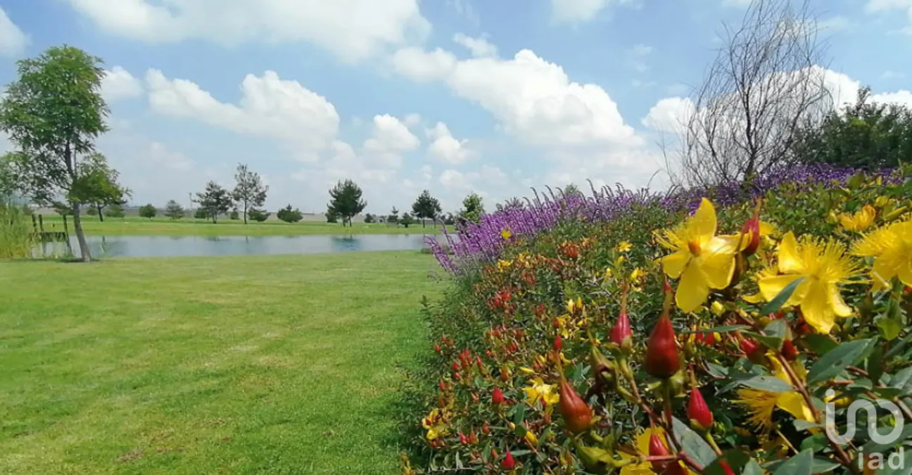 Terreno en Venta en San Miguel Totocuitlapilco, Metepec, Estado De México | NEX-229371 | iad México | Foto 2 de 4