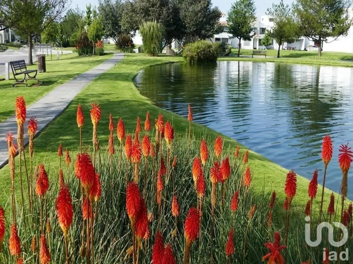 Terreno en Venta en San Miguel Totocuitlapilco, Metepec, Estado De México | NEX-229374 | iad México | Foto 1 de 6