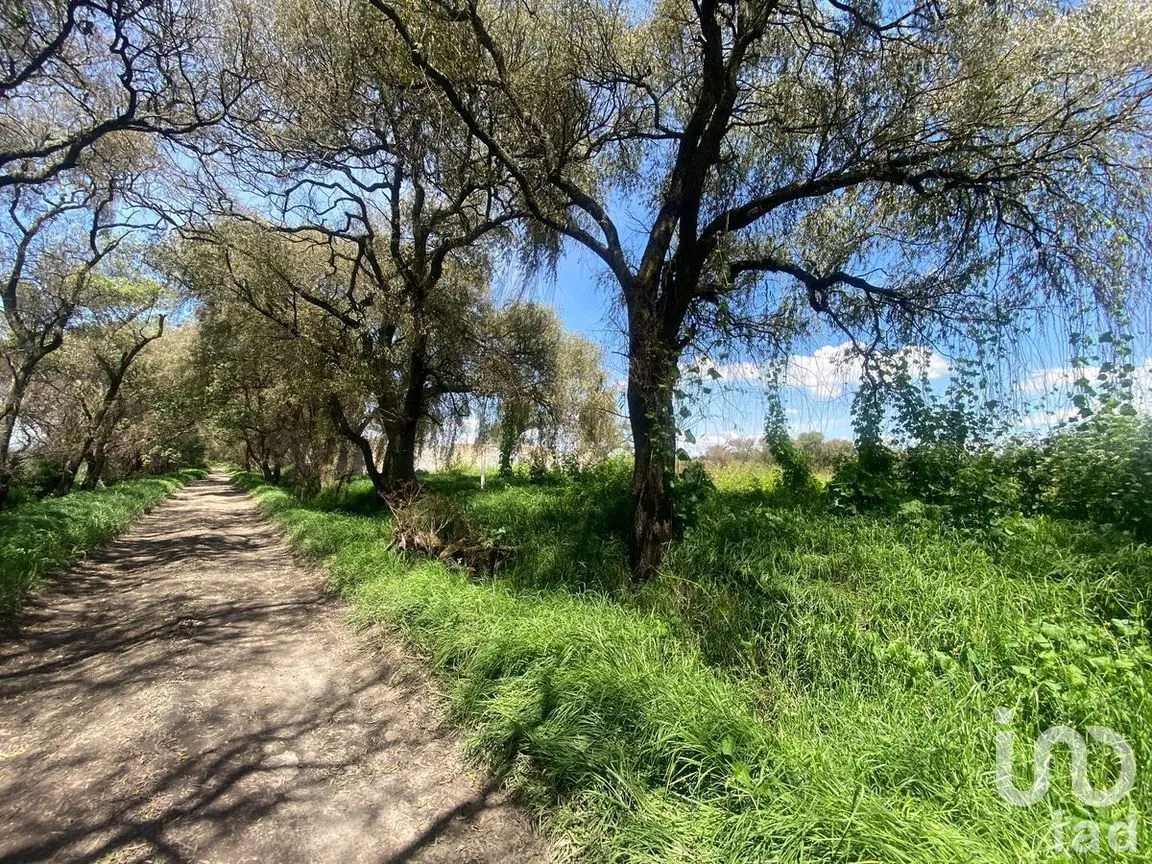 Terreno en Venta en Llano Grande, Metepec, Estado de México | NEX-269607 | iad México | Foto 4 de 9