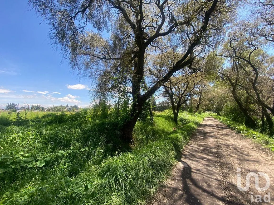 Terreno en Venta en Llano Grande, Metepec, Estado de México | NEX-269607 | iad México | Foto 6 de 9