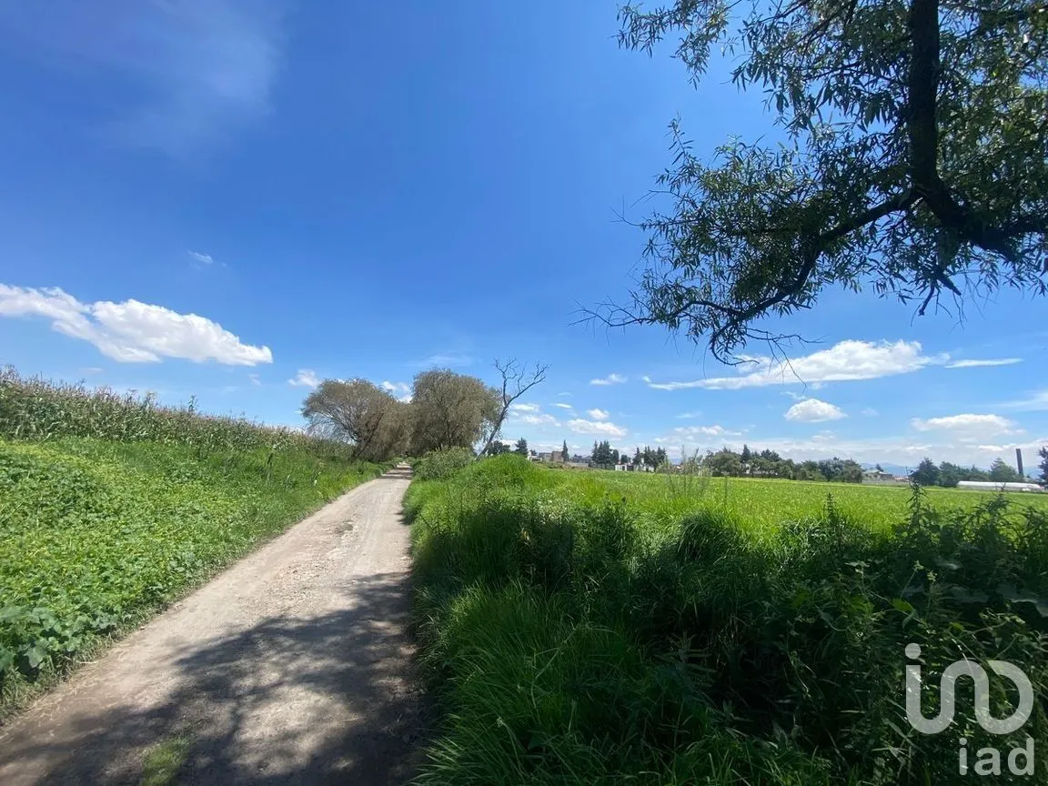 Terreno en Venta en Llano Grande, Metepec, Estado de México | NEX-269607 | iad México | Foto 7 de 9