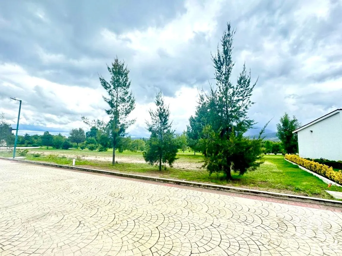 Terreno en Venta en Tepetongo, Contepec, Michoacán | NEX-272487 | iad México | Foto 6 de 6