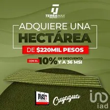 NEX-164118 - Terreno en Venta en Buenavista, CP 97127, Yucatán.
