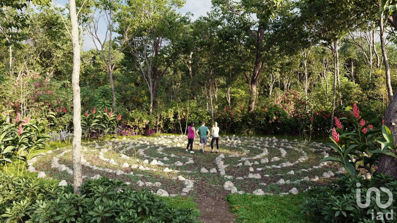Terreno en Venta en Mina de Oro, Dzidzantún, Yucatán | NEX-254799 | iad México | Foto 7 de 9