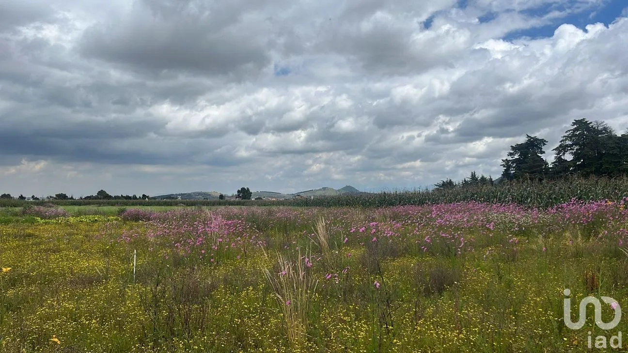 Terreno en Venta en San Antonio Buenavista, Toluca, México | NEX-259457 | iad México | Foto 1 de 3