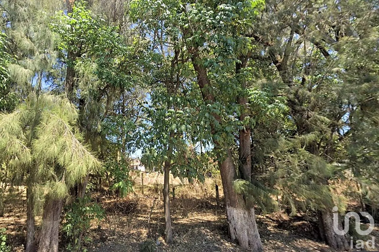 Terreno en Venta en San Antonio, Valle de Bravo, México | NEX-260947 | iad México | Foto 2 de 5