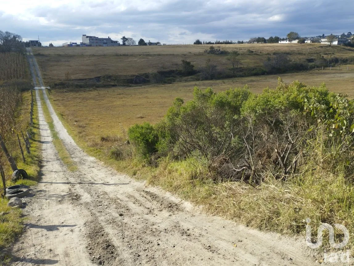 Terreno en Venta en San Mateo Capulhuac, Otzolotepec, México | NEX-263821 | iad México | Foto 4 de 7
