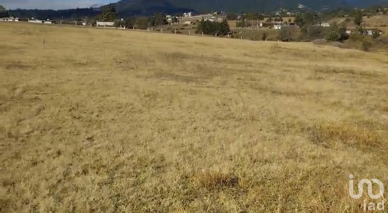 Terreno en Venta en Santa Anita, Huamantla, Tlaxcala | NEX-265985 | iad México | Foto 3 de 4