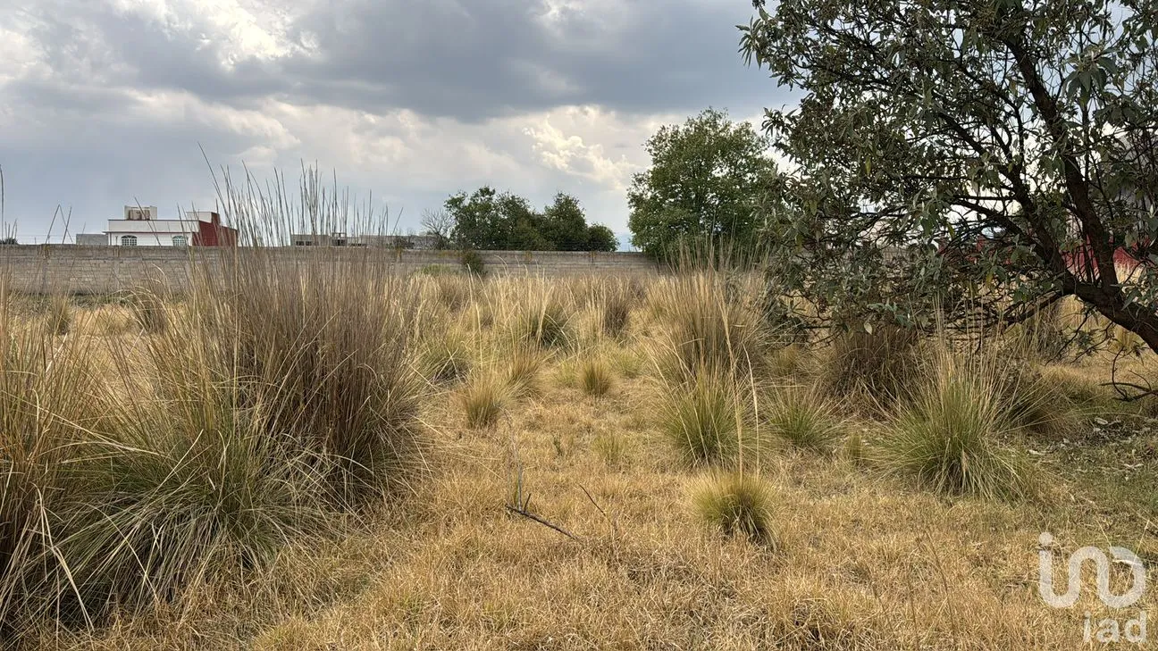 Terreno en Venta en Cacalomacán Centro, Toluca, México | NEX-291236 | iad México | Foto 7 de 8