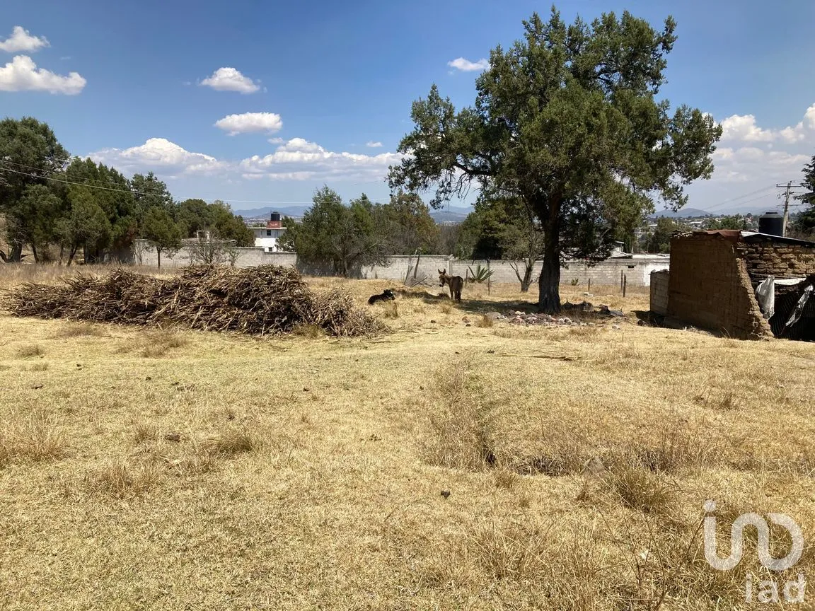 Terreno en Venta en San Simón Tlatlahuquitepec, Xaltocan, Tlaxcala | NEX-98539 | iad México | Foto 2 de 13