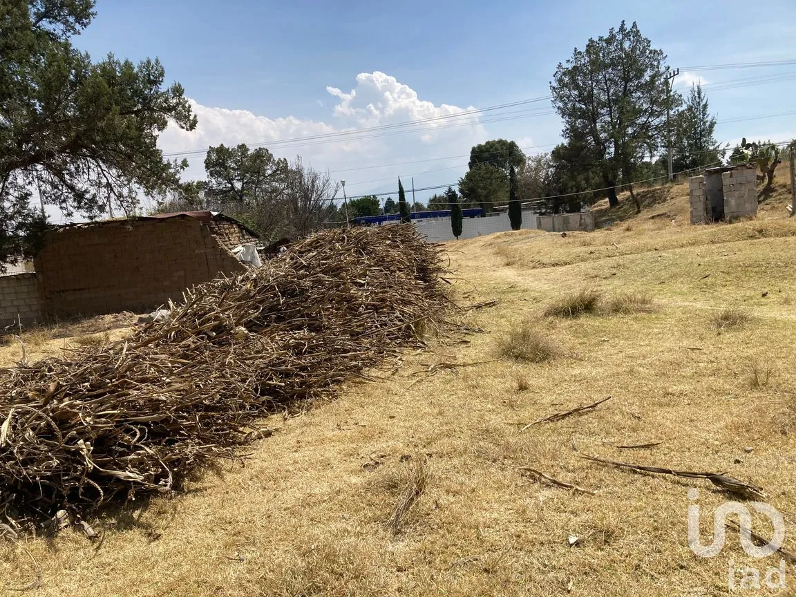 Terreno en Venta en San Simón Tlatlahuquitepec, Xaltocan, Tlaxcala | NEX-98539 | iad México | Foto 11 de 13