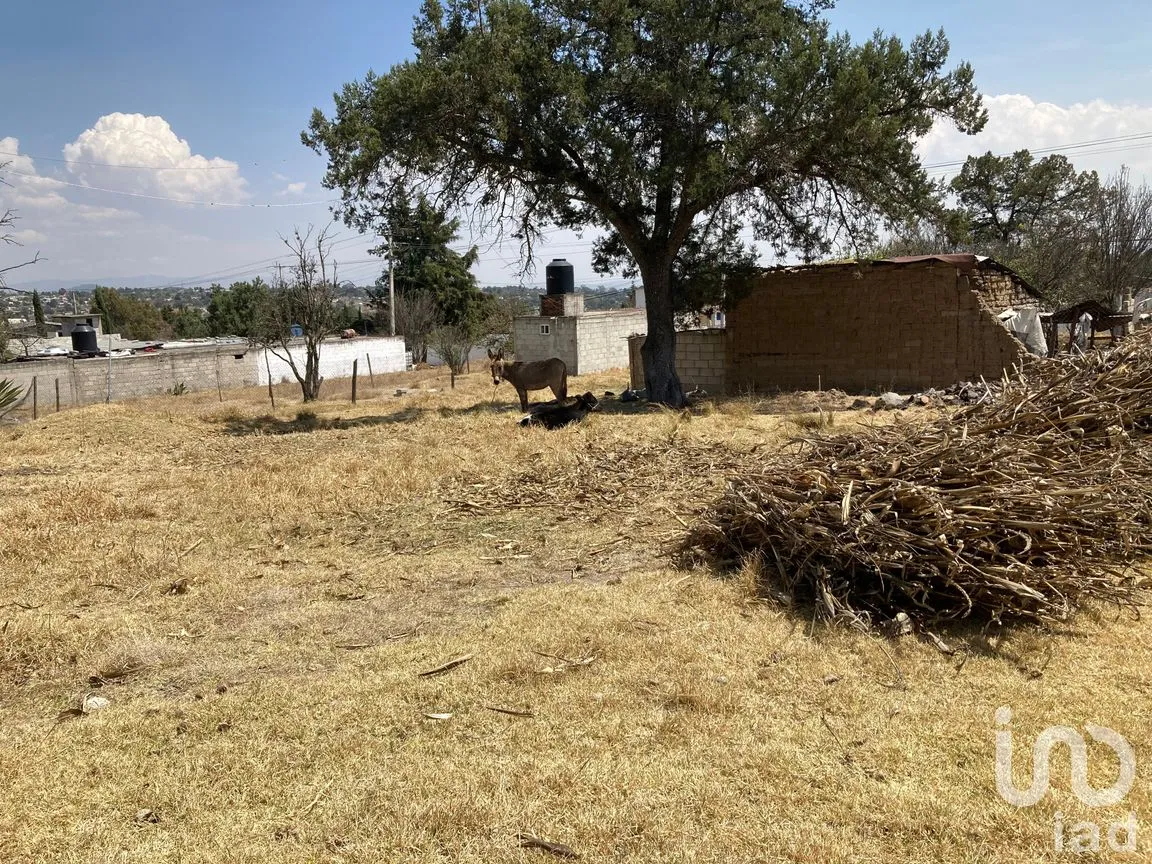Terreno en Venta en San Simón Tlatlahuquitepec, Xaltocan, Tlaxcala | NEX-98539 | iad México | Foto 12 de 13