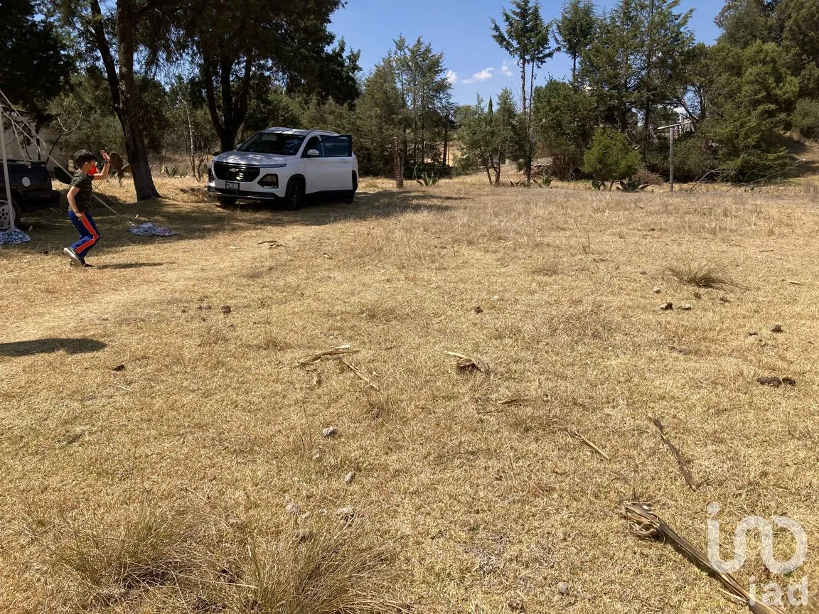 Terreno en Venta en San Simón Tlatlahuquitepec, Xaltocan, Tlaxcala | NEX-98539 | iad México | Foto 6 de 13