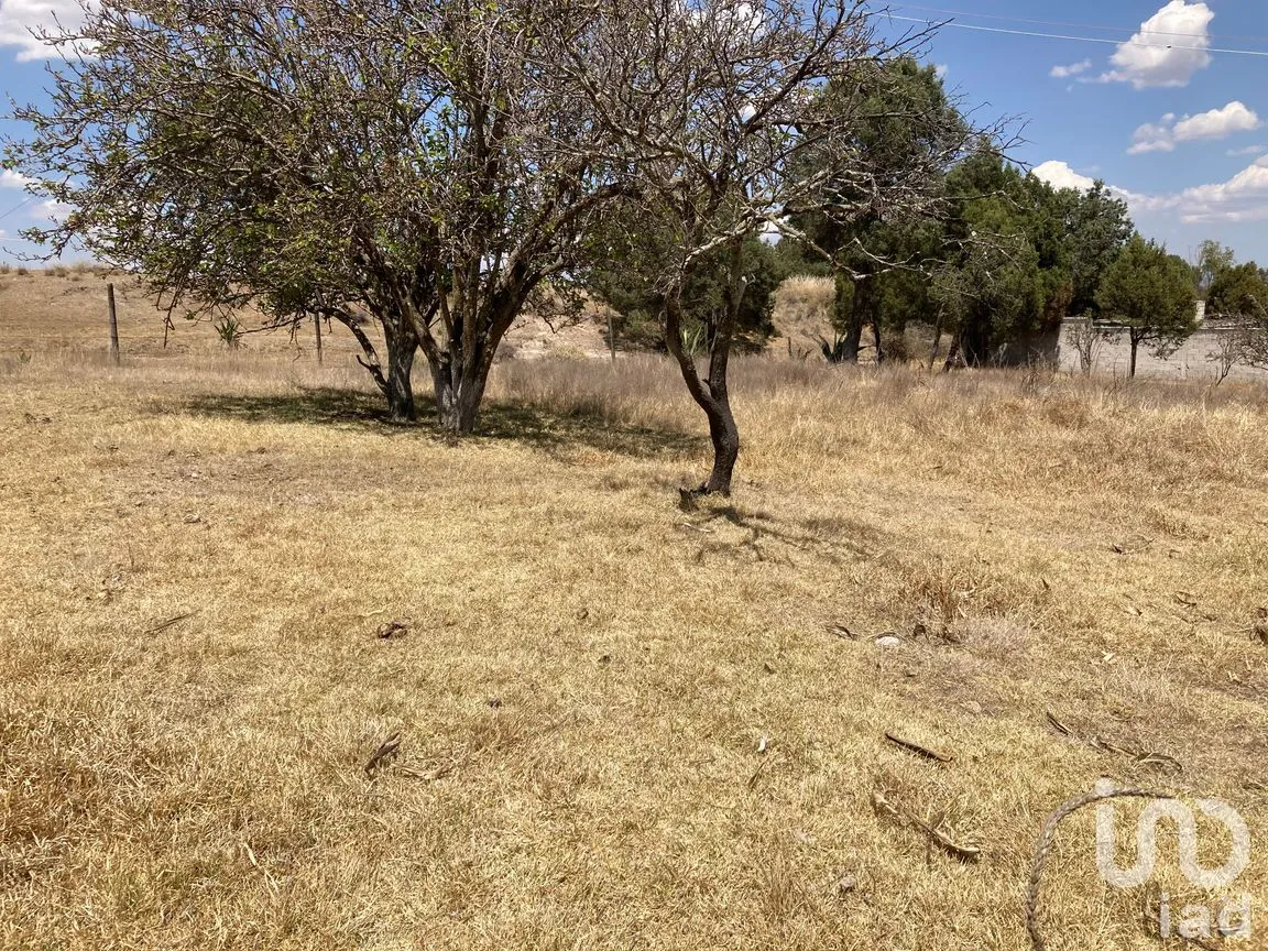 Terreno en Venta en San Simón Tlatlahuquitepec, Xaltocan, Tlaxcala | NEX-98539 | iad México | Foto 7 de 13