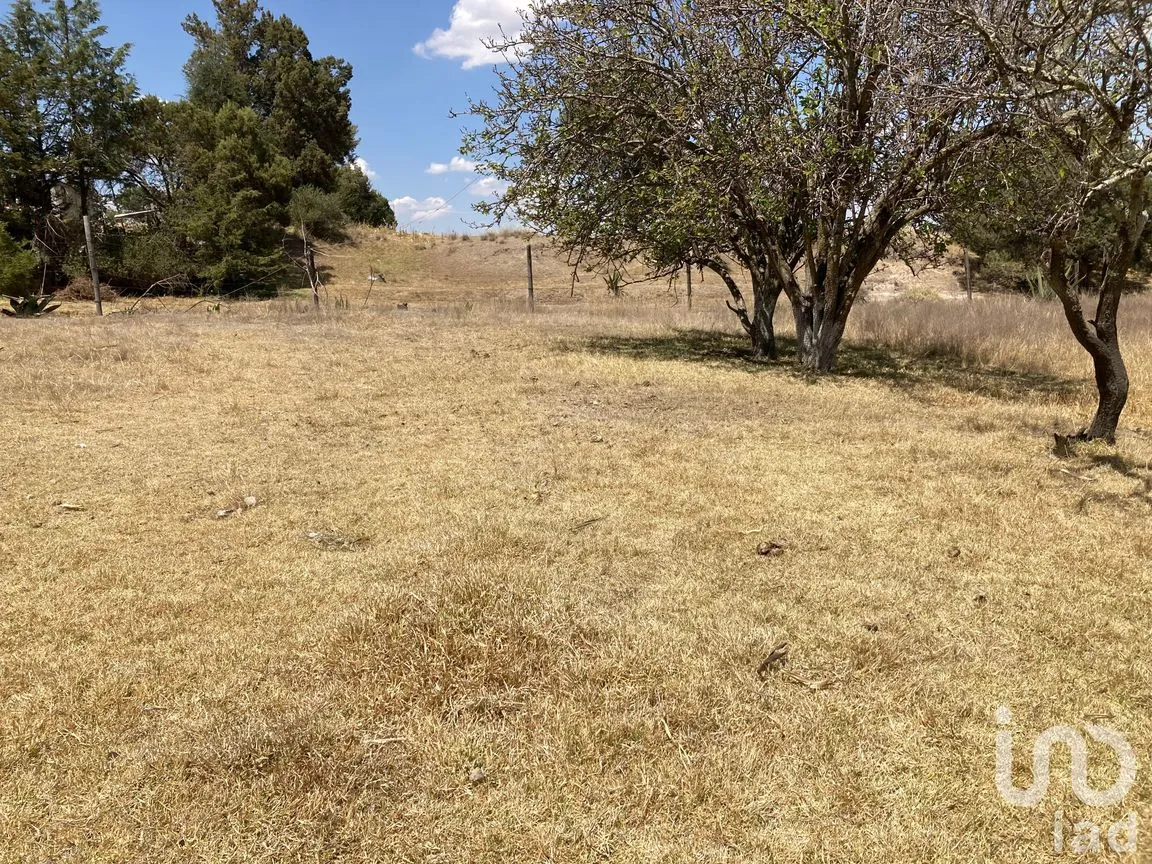 Terreno en Venta en San Simón Tlatlahuquitepec, Xaltocan, Tlaxcala | NEX-98539 | iad México | Foto 8 de 13