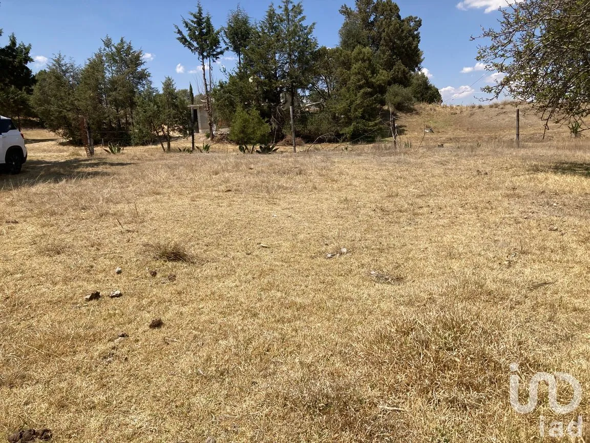 Terreno en Venta en San Simón Tlatlahuquitepec, Xaltocan, Tlaxcala | NEX-98539 | iad México | Foto 9 de 13