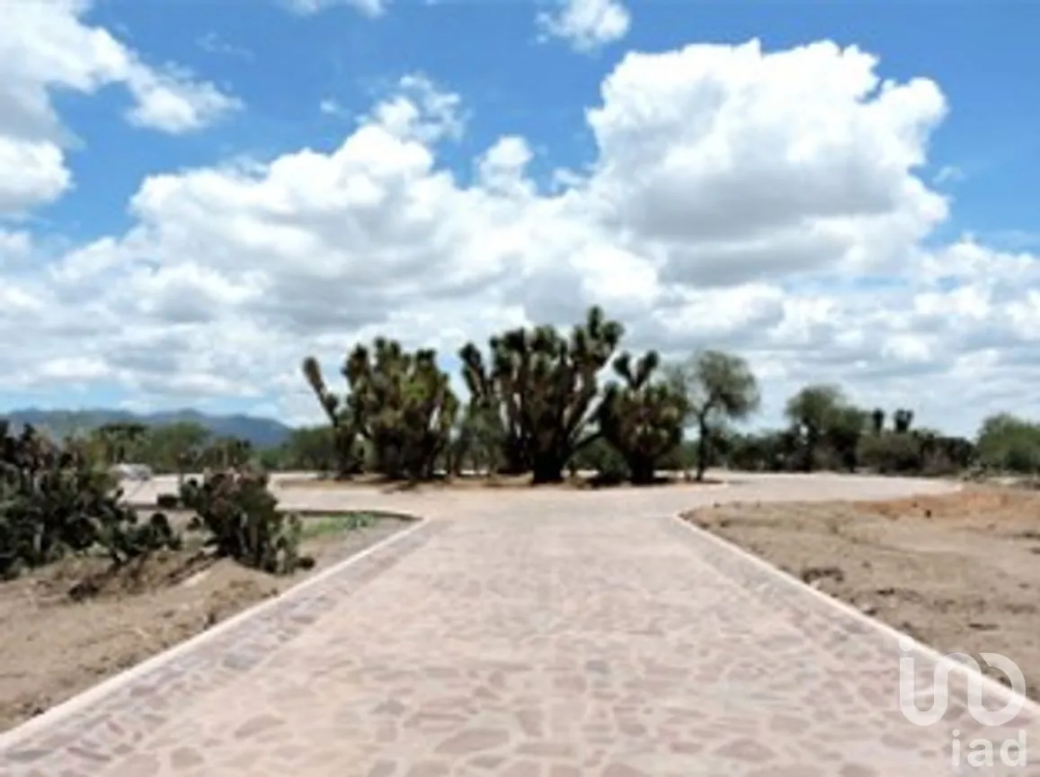 Terreno en Venta en Jesús María, Villa de Reyes, San Luis Potosí | NEX-239644 | iad México | Foto 3 de 10