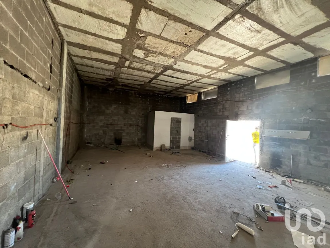 Terreno en Renta en San Nicolás de los Jassos, San Luis Potosí, San Luis Potosí | NEX-259599 | iad México | Foto 12 de 12